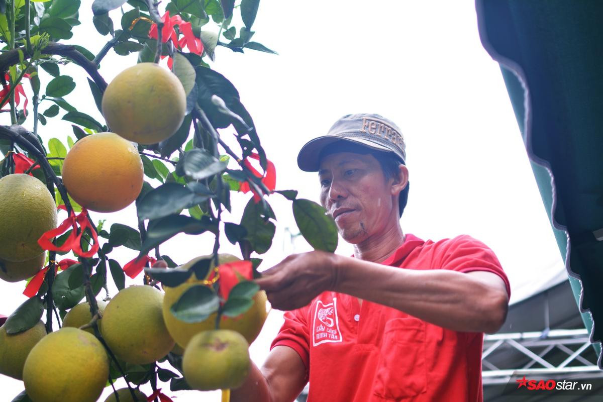 Nhà giàu Sài Gòn săn bưởi vàng giá khủng: 70 triệu/cây, gần 1 triệu đồng/quả Ảnh 10