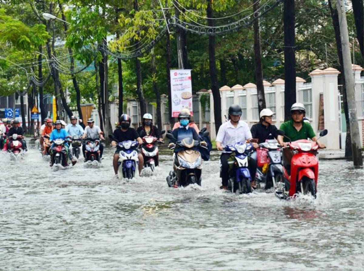 Người dân Cà Mau khốn đốn dịp cận Tết vì phải hứng chịu ngập lụt nặng nề do ảnh hưởng của bão số 1 Ảnh 3