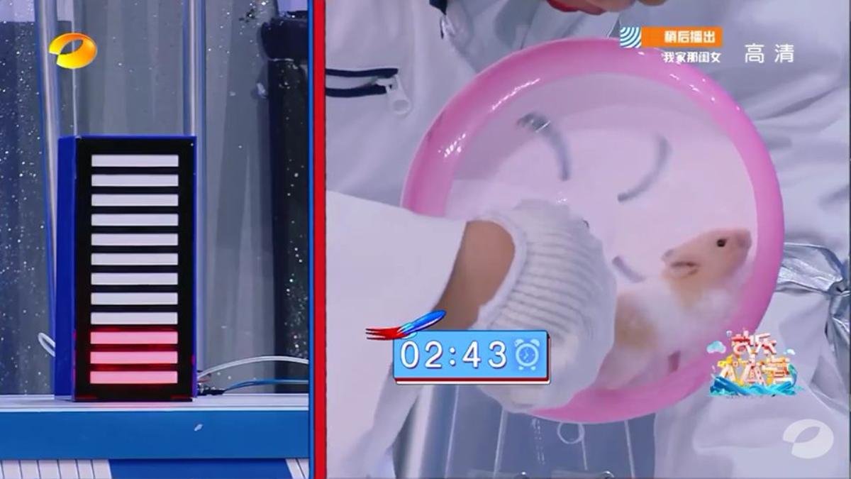 ‘Happy Camp’: Đầu năm xông đất với trai xinh gái đẹp Hàn Đông Quân, Ngô Lỗi, Justin, Ngô Ánh Khiết Ảnh 24