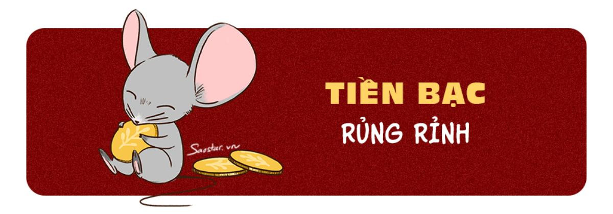 Tử vi tuổi Tý năm 2019: Túi tiền rủng rỉnh, dân FA có đôi có cặp Ảnh 1