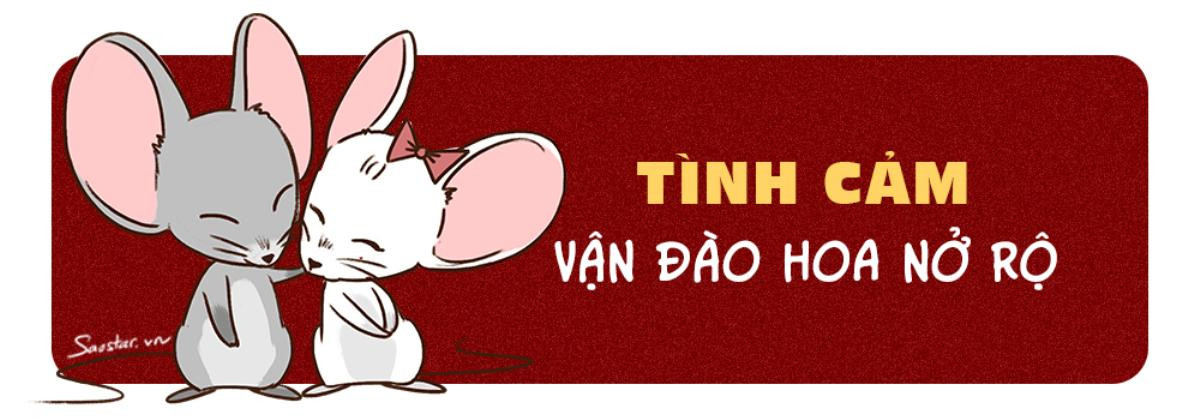 Tử vi tuổi Tý năm 2019: Túi tiền rủng rỉnh, dân FA có đôi có cặp Ảnh 4