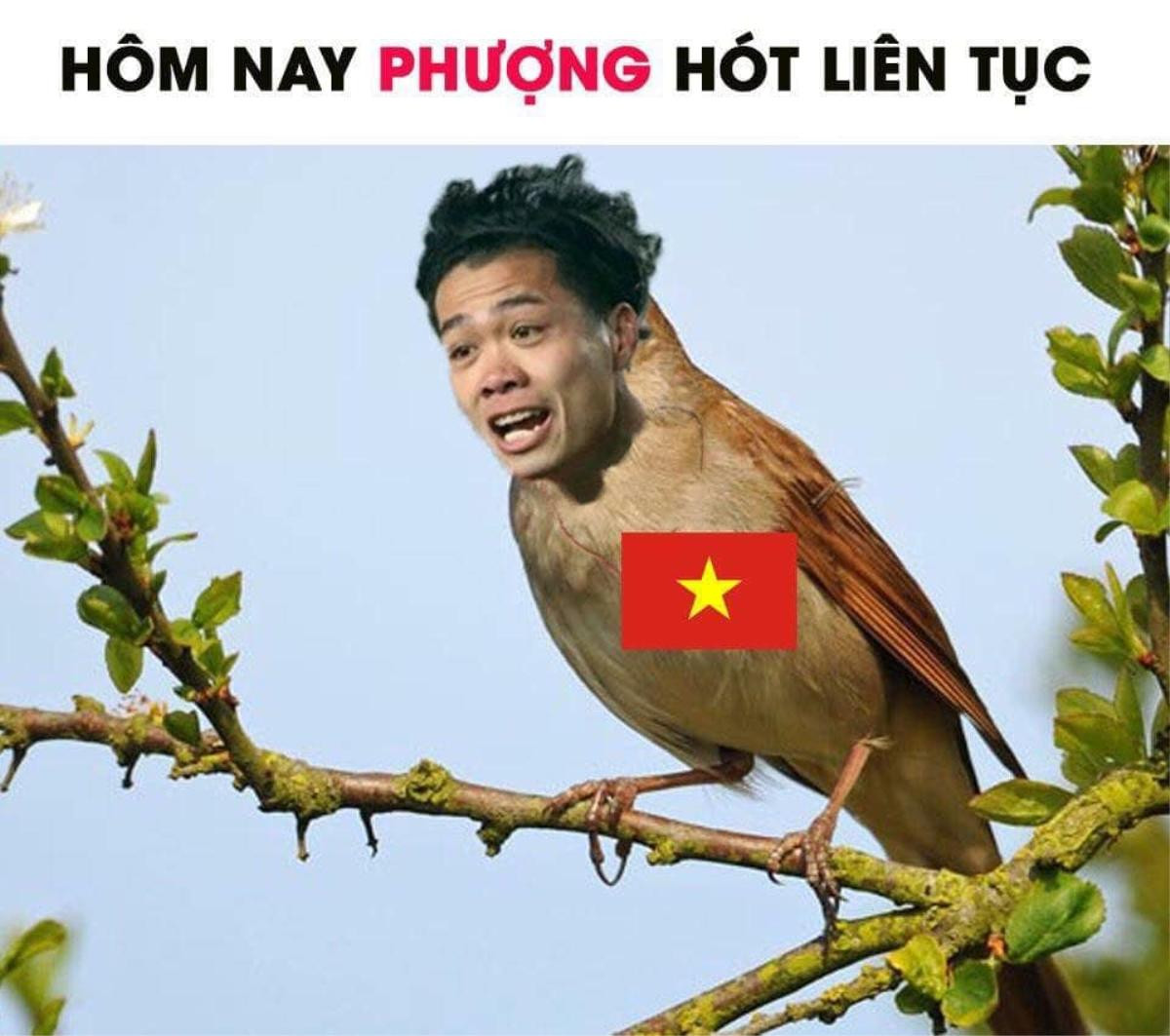 Loạt ảnh chế 'hoạ mi' Công Phượng liên tục hót trong trận gặp Iraq Ảnh 6