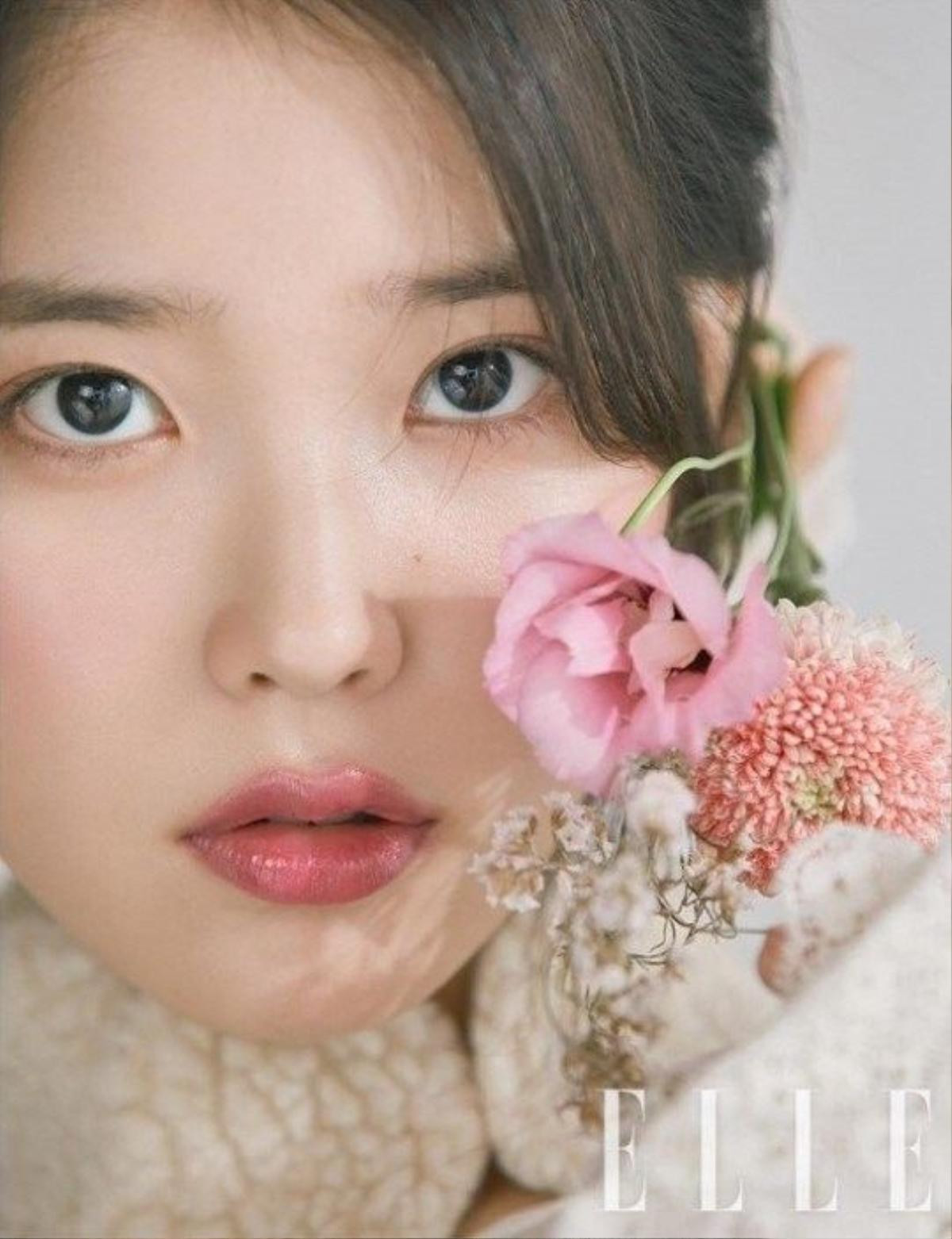 IU thề bằng cả sự nghiệp của mình không làm sai điều gì, được fans dùng hashtag và tin nhắn ủng hộ Ảnh 4