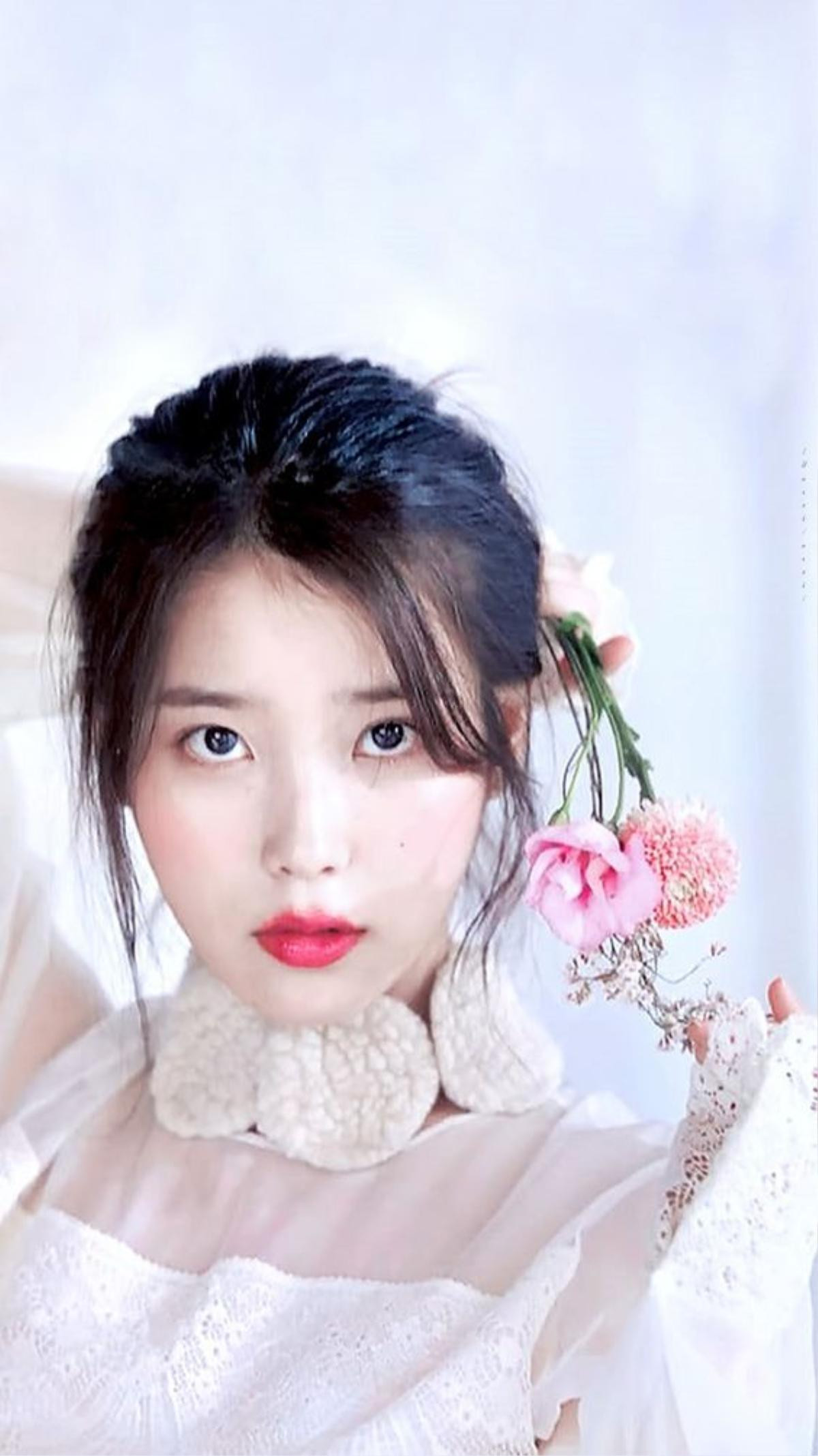 IU thề bằng cả sự nghiệp của mình không làm sai điều gì, được fans dùng hashtag và tin nhắn ủng hộ Ảnh 5