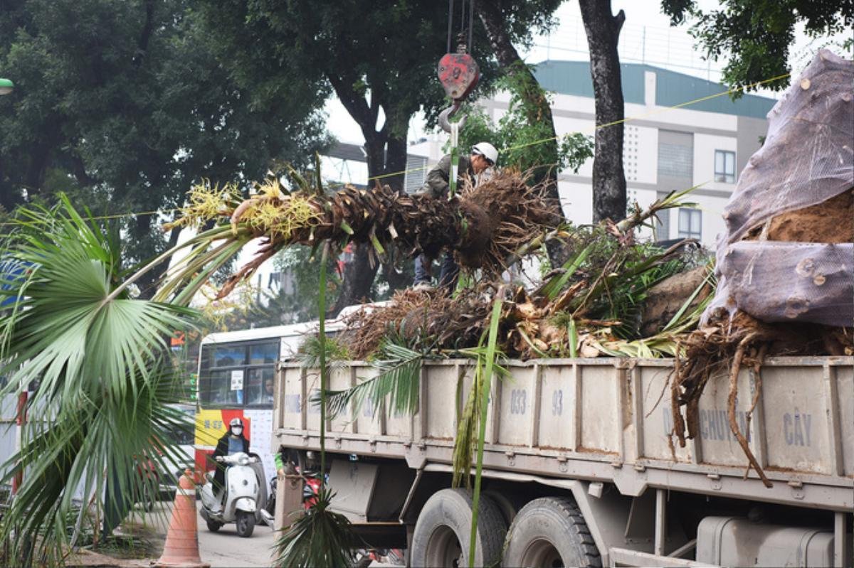 Hà Nội gấp rút mở rộng đường Láng thêm 3,5 mét Ảnh 3