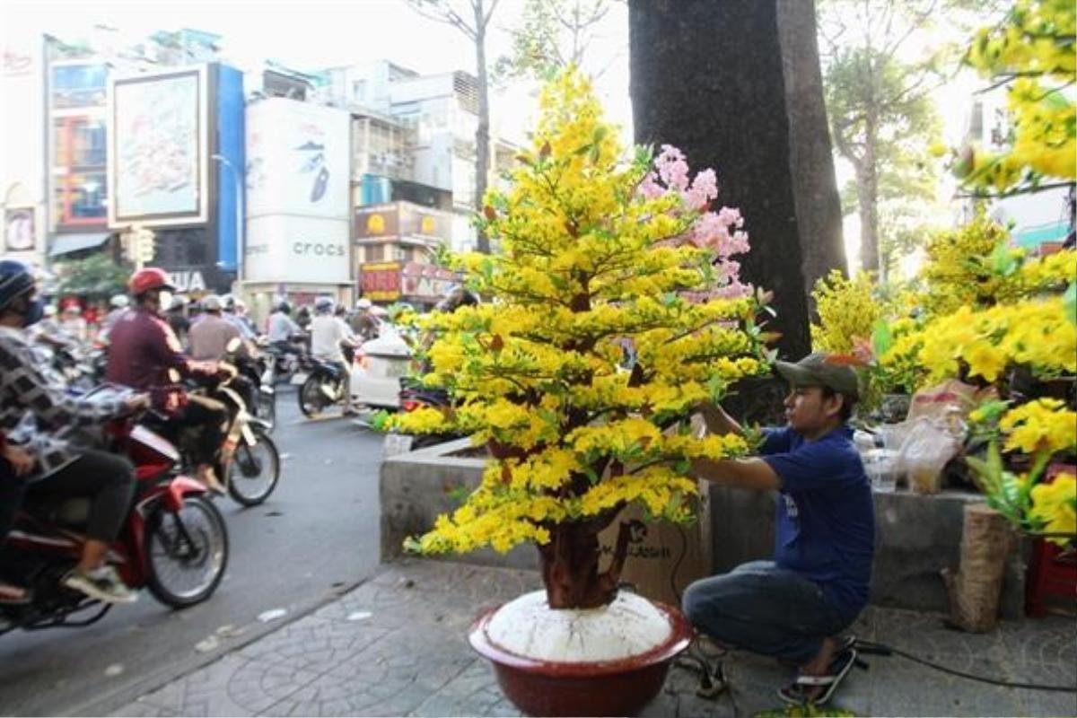 Mai, đào giả 'đắt cắt cổ' 70-80 triệu đồng/chậu xuống đường phục vụ tết Ảnh 8