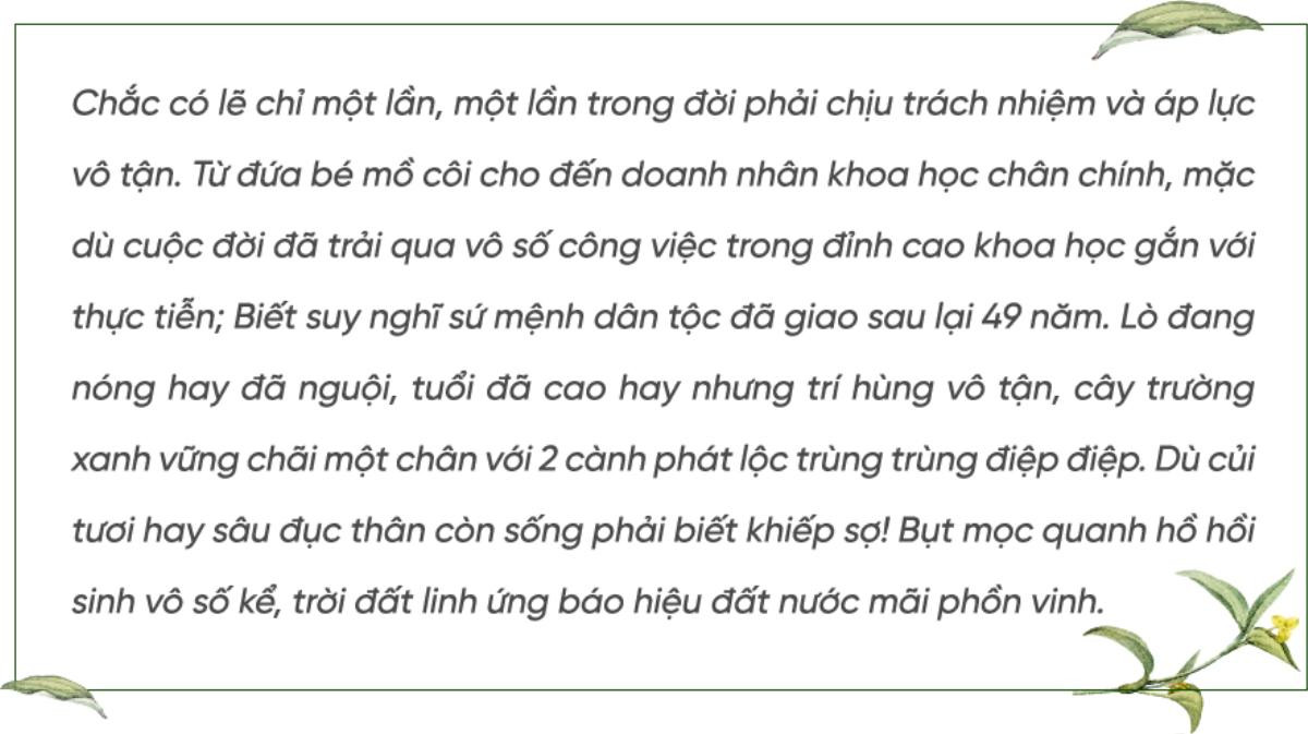 90 giờ cân não cứu sống cây trường xanh trong Khu di tích Phủ Chủ tịch Ảnh 12