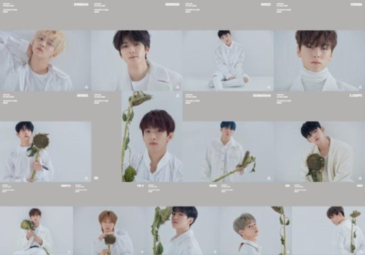 SEVENTEEN cực điển trai ngày trở lại: Quan trọng là bạn có đến 2 concept để ngắm nghía Ảnh 1