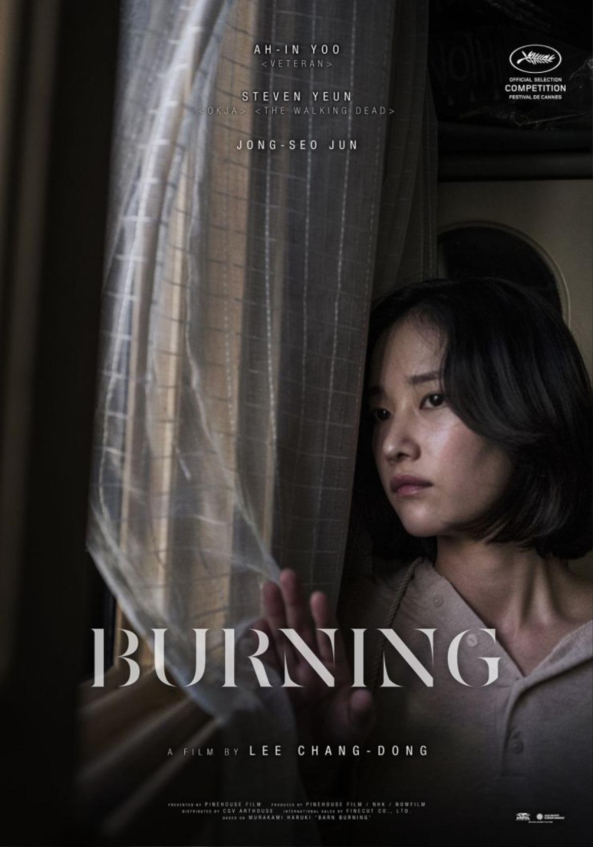 'Burning' của điện ảnh Hàn Quốc thống trị đề cử giải 'Oscar châu Á 2019' Ảnh 3