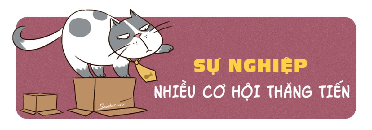 Tử vi tuổi Mão năm 2019: Người độc thân chớ mơ mộng nhiều, ế vẫn hoàn ế thôi! Ảnh 2