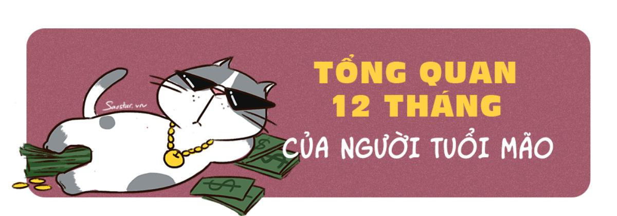 Tử vi tuổi Mão năm 2019: Người độc thân chớ mơ mộng nhiều, ế vẫn hoàn ế thôi! Ảnh 5