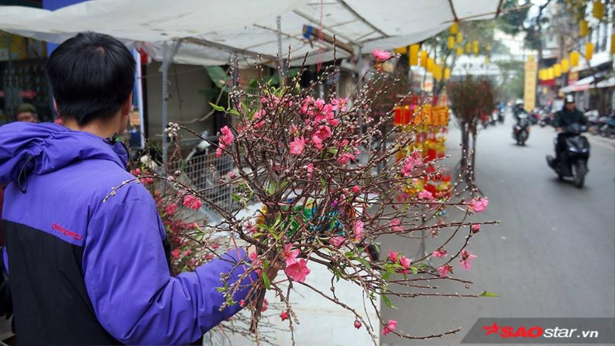 Chùm ảnh: Chợ hoa Hàng Lược nhộn nhịp ngày họp đầu tiên của phiên chợ Tết Ảnh 19