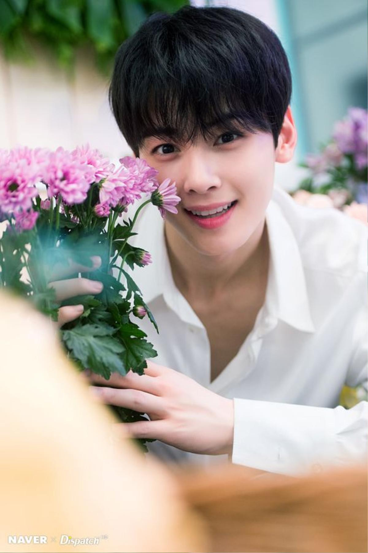 Ảnh chế Song Joong Ki khi thấy vợ yêu chia tay Park Bo Gum gây bão - Cha Eun woo (ASTRO) không biết mình đẹp trai Ảnh 9