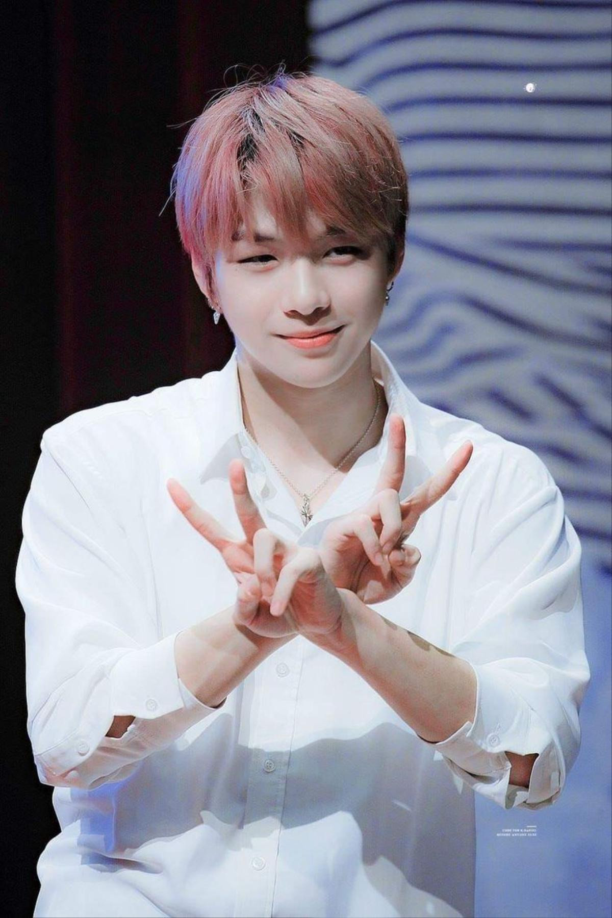 Fan mất ngủ vì sân khấu nóng bỏng của Kang Daniel tại concert WANNA ONE Ảnh 3