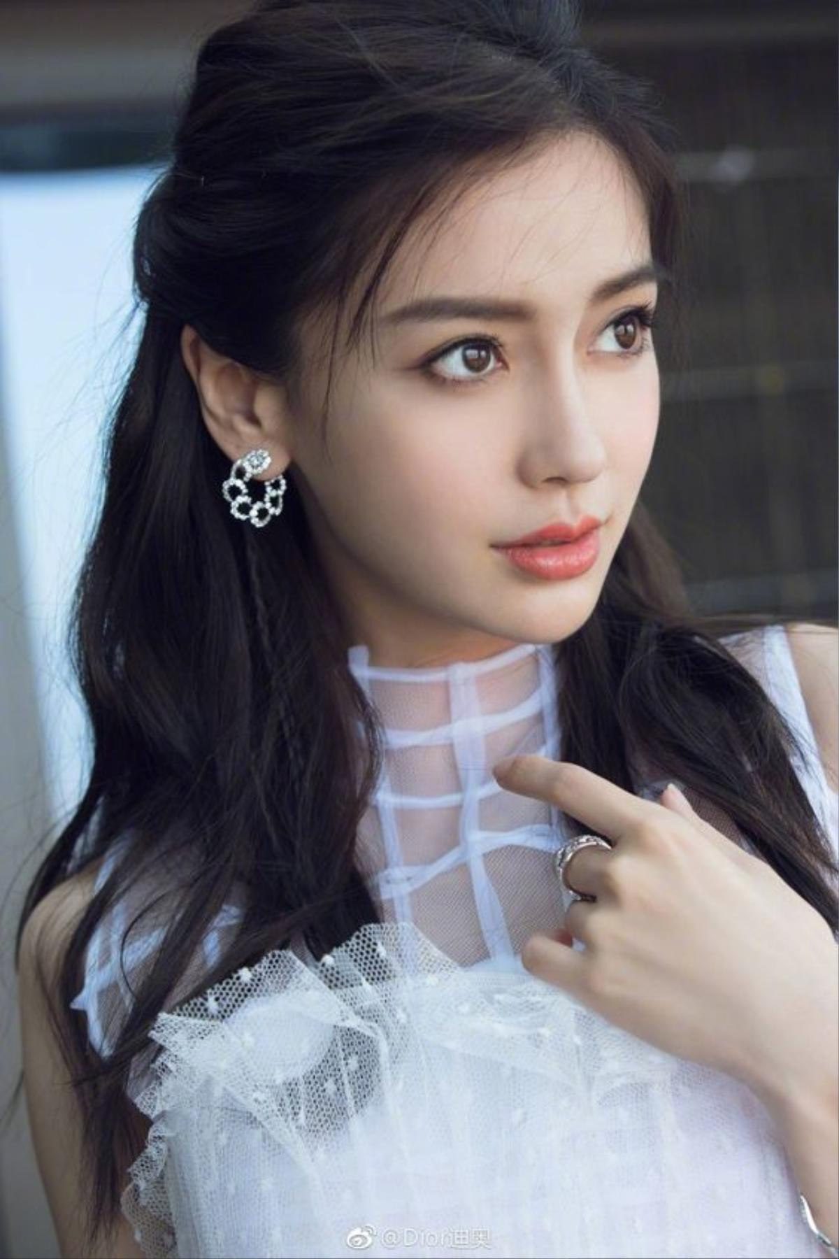 Angelababy gây tranh cãi khi làm đại sứ của WildAid - Hồ Hạnh Nhi mang thai lần 2? Ảnh 7