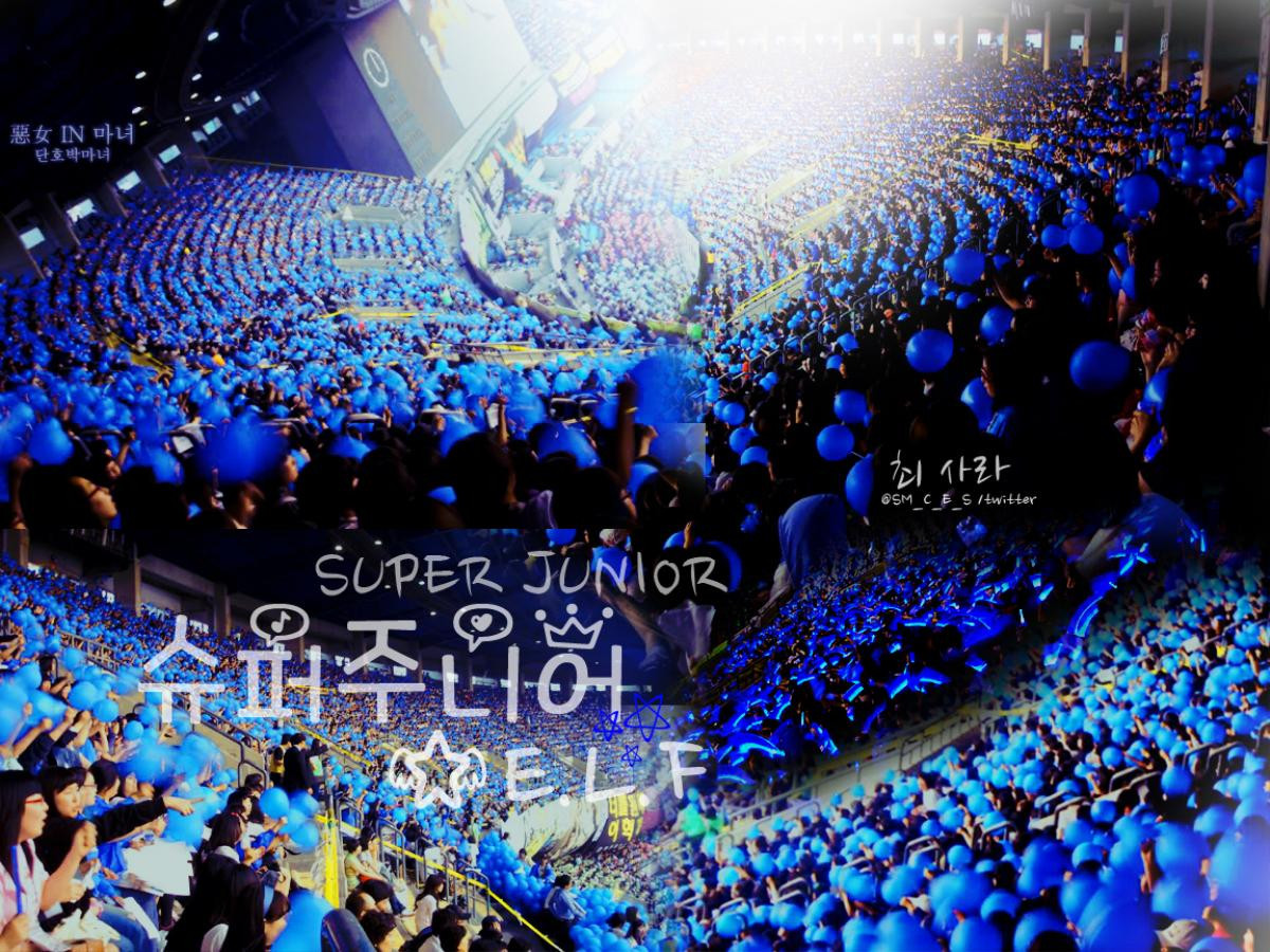 Khi fandom Kpop quyền lực đến nỗi… công ty chủ quản cũng phải nể mặt Ảnh 1