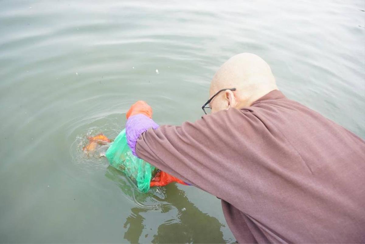 Chưa kịp về chầu trời ngày ông Công ông Táo, nhiều cá chép lăn ra chết vì người dân thả quá nhiều bụi tro xuống hồ Ảnh 4