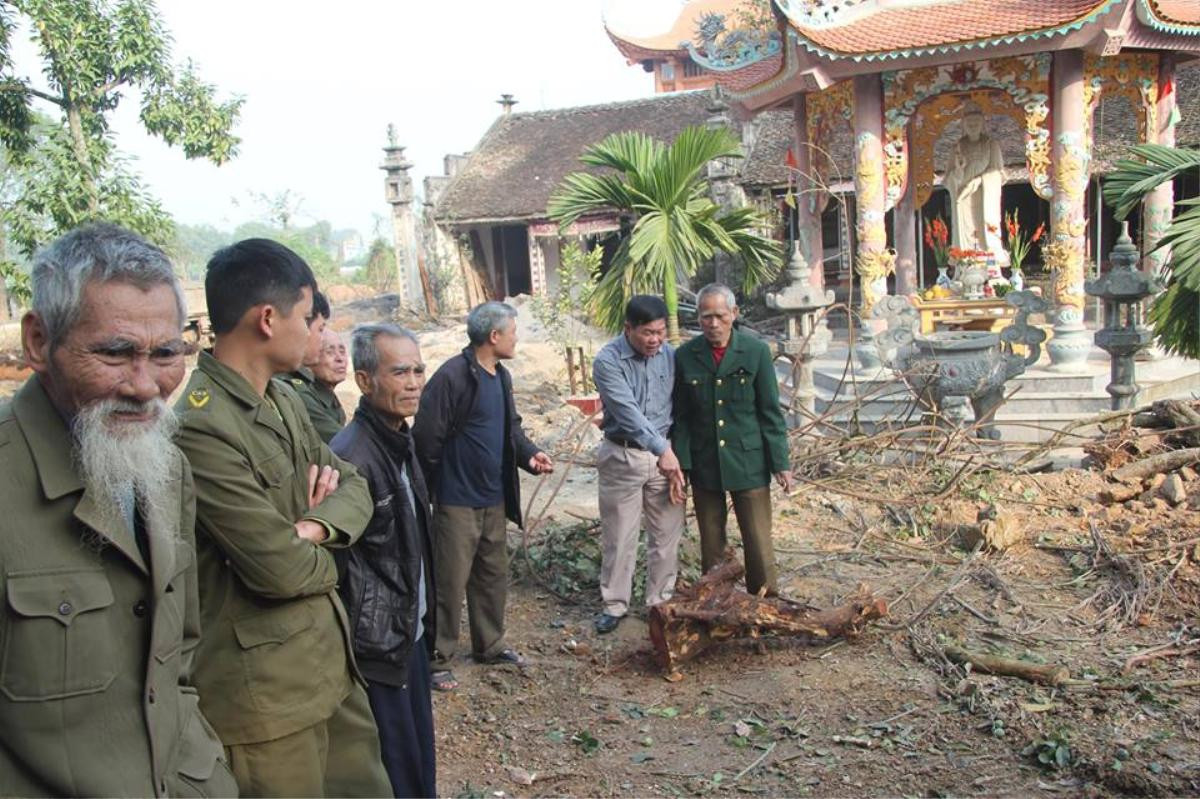 Tránh bị máy múc làm nứt toác gốc cây sưa trăm tỷ ở Hà Nội, dân làng canh tại trận yêu cầu thợ đào tỉ mỉ Ảnh 6