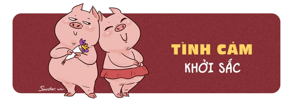 Tử vi tuổi Hợi 2019: Họa phúc đan xen, bao giờ Hợi mới 'phất' lên? Ảnh 3