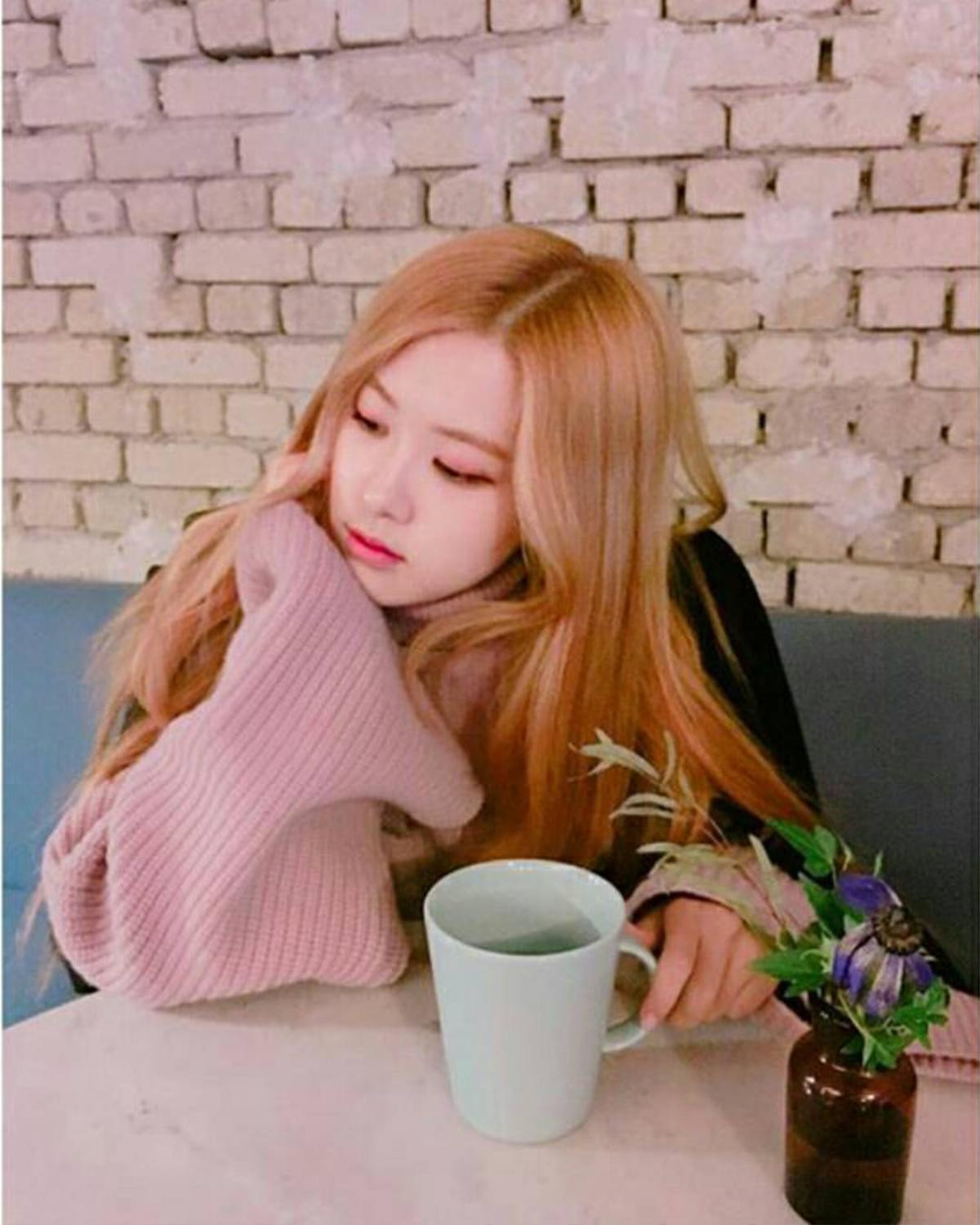 Không chỉ thích hát hò, Lisa (BlackPink) còn có hẳn bộ sưu tập máy ảnh có giá trị cực cao Ảnh 16