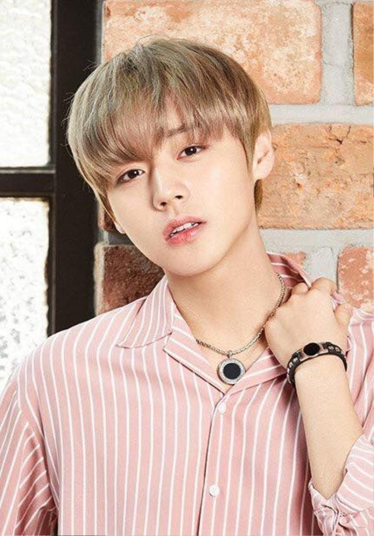 IU chia sẻ về tình yêu - Park Jihoon đóng cặp với Cha Eunwoo (ASTRO) trong phim dã sử? Ảnh 7