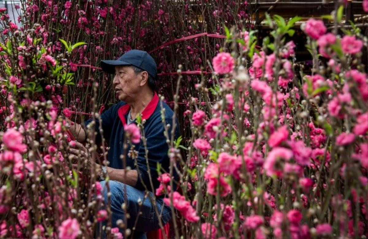 Thế giới lung linh, ngập tràn trong không khí chào đón Tết Kỷ Hợi 2019 Ảnh 4