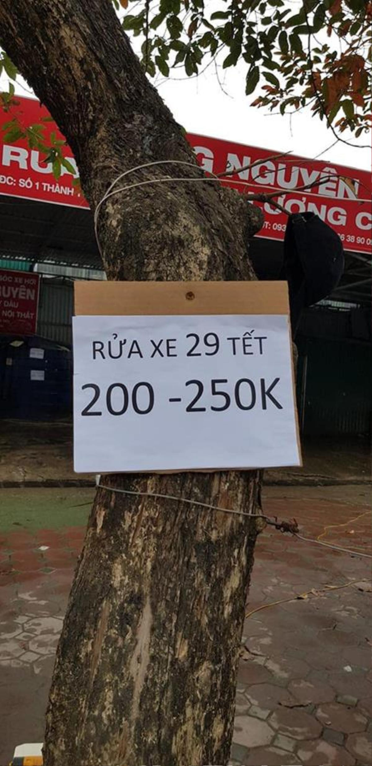 Thử thách xem ai nhịn nổi cười với những bức ảnh siêu hài hước dịp Tết Kỷ Hợi 2019 Ảnh 3