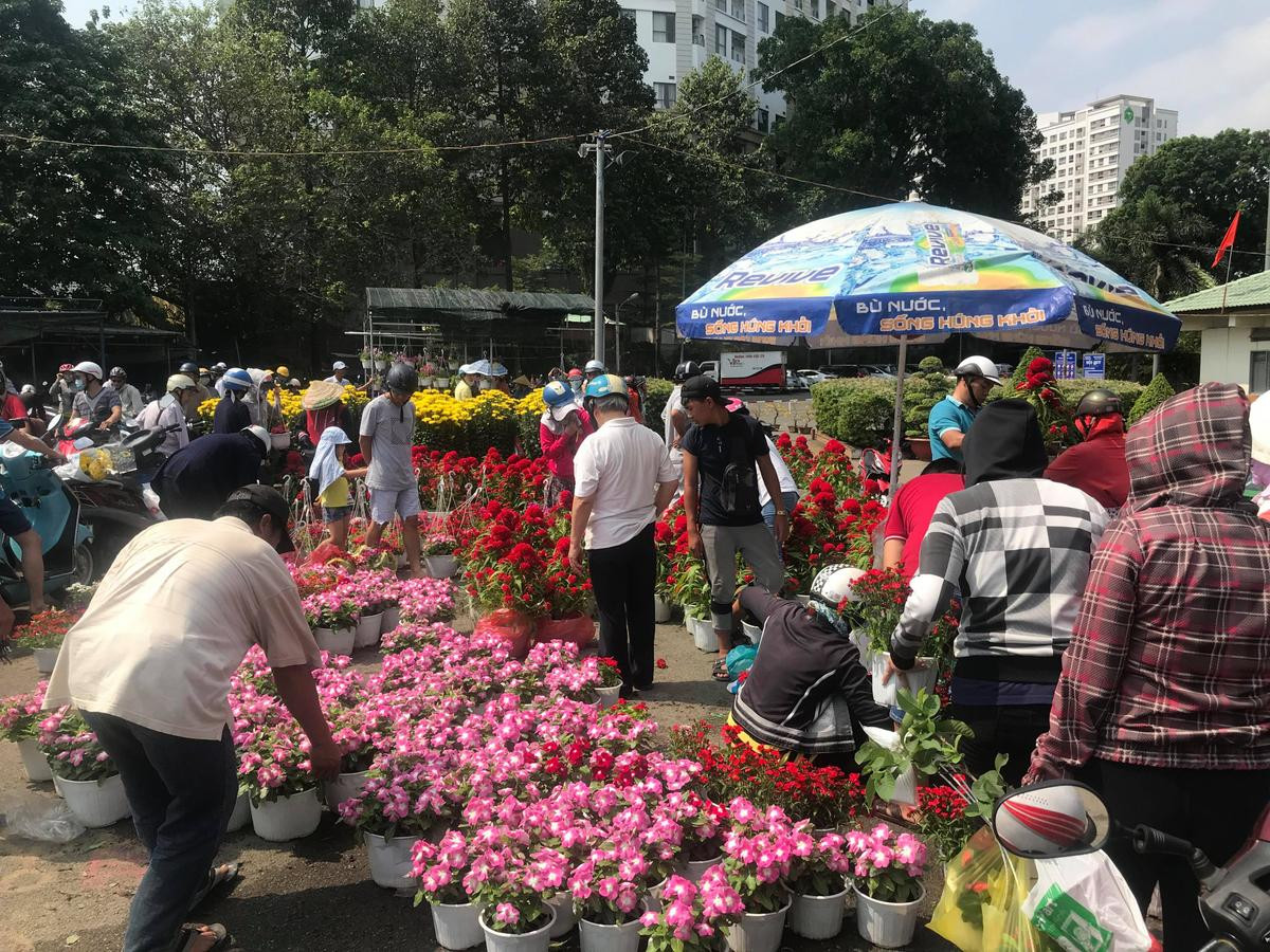 Xót xa cảnh thương lái Sài Gòn tự tay đập những chậu quất, chậu hoa cảnh ngày 30 Tết vì bị… ép giá Ảnh 11