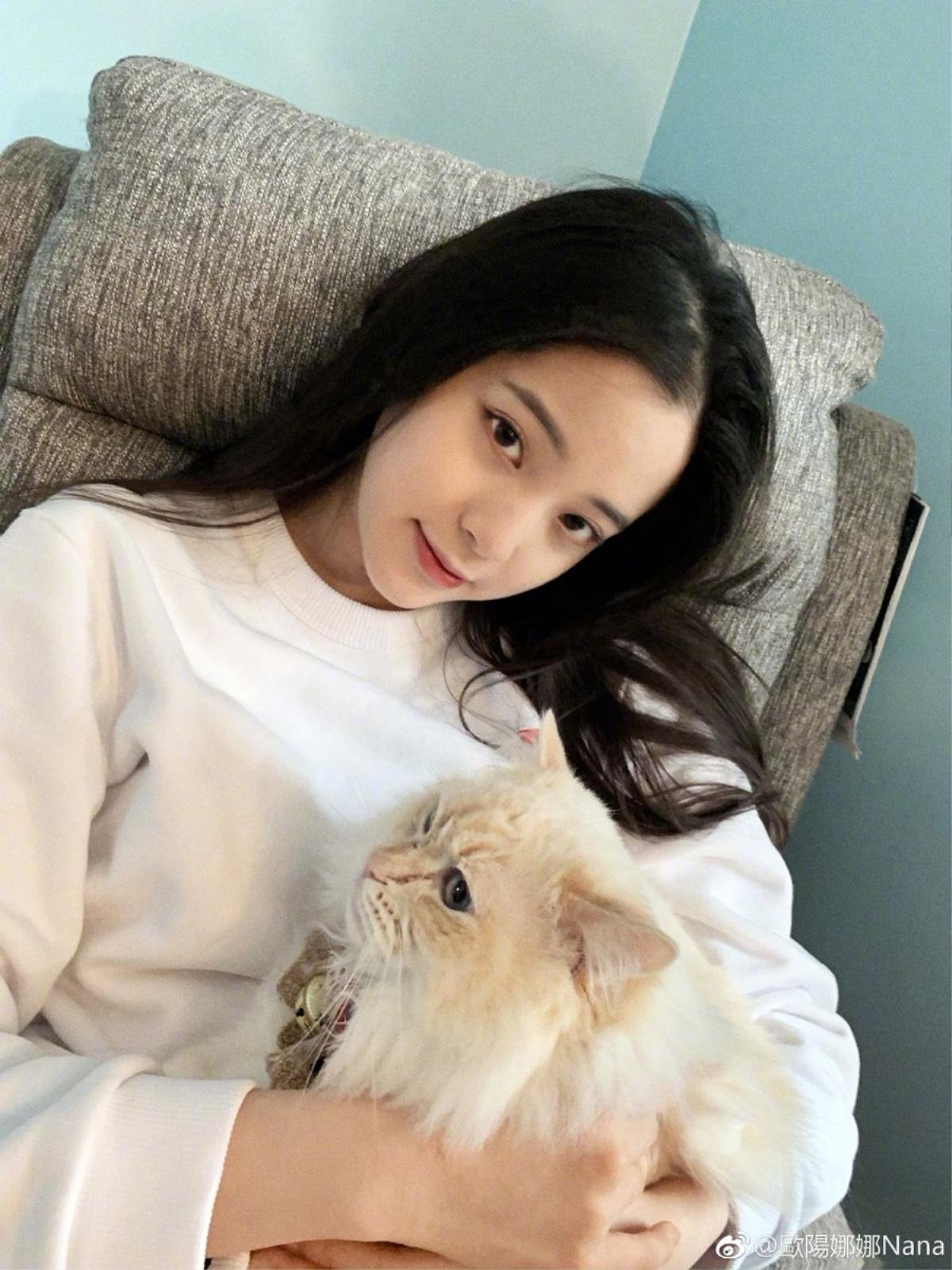 Mồng Một Tết Kỷ Hợi: Angelababy đạt 100 triệu fan Weibo, sao Hoa ngữ khoe ảnh đầu năm Ảnh 8