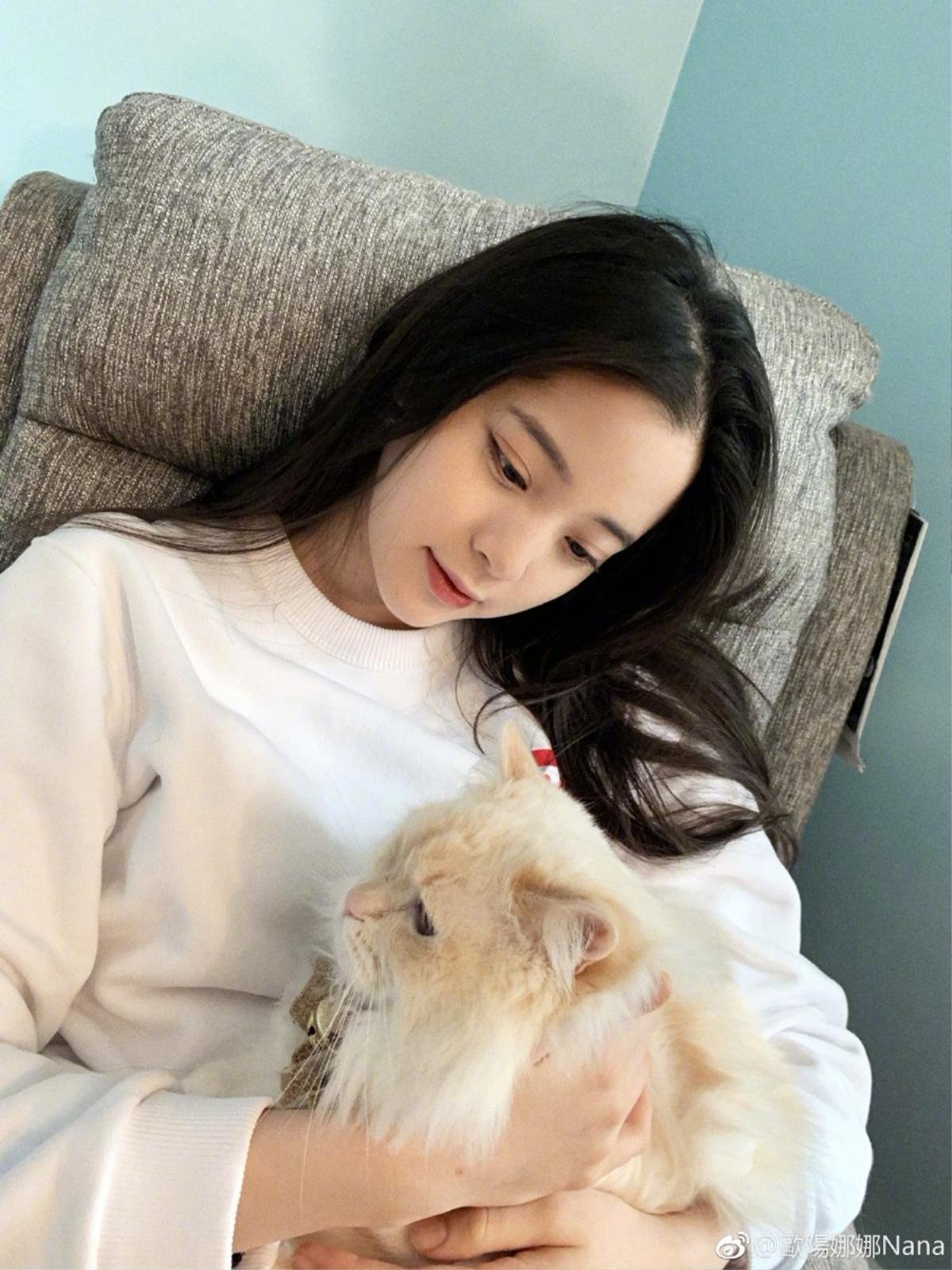 Mồng Một Tết Kỷ Hợi: Angelababy đạt 100 triệu fan Weibo, sao Hoa ngữ khoe ảnh đầu năm Ảnh 5