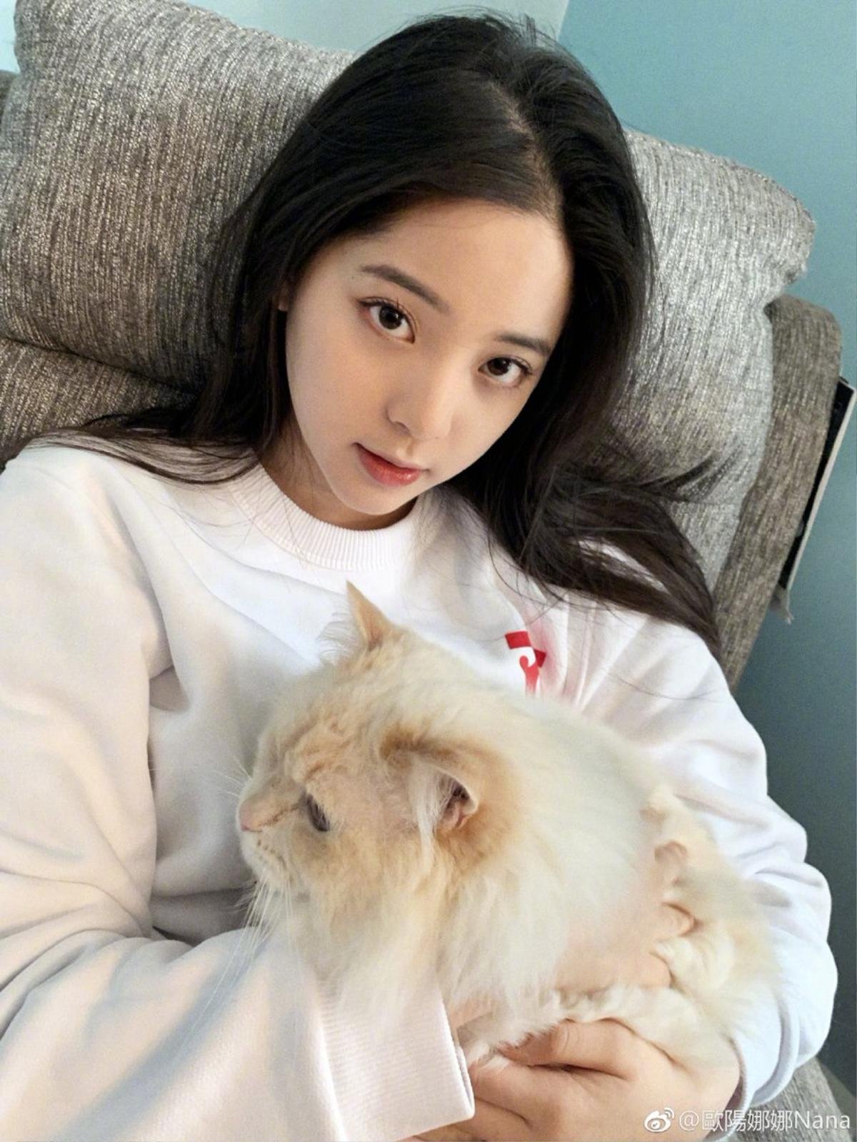 Mồng Một Tết Kỷ Hợi: Angelababy đạt 100 triệu fan Weibo, sao Hoa ngữ khoe ảnh đầu năm Ảnh 6