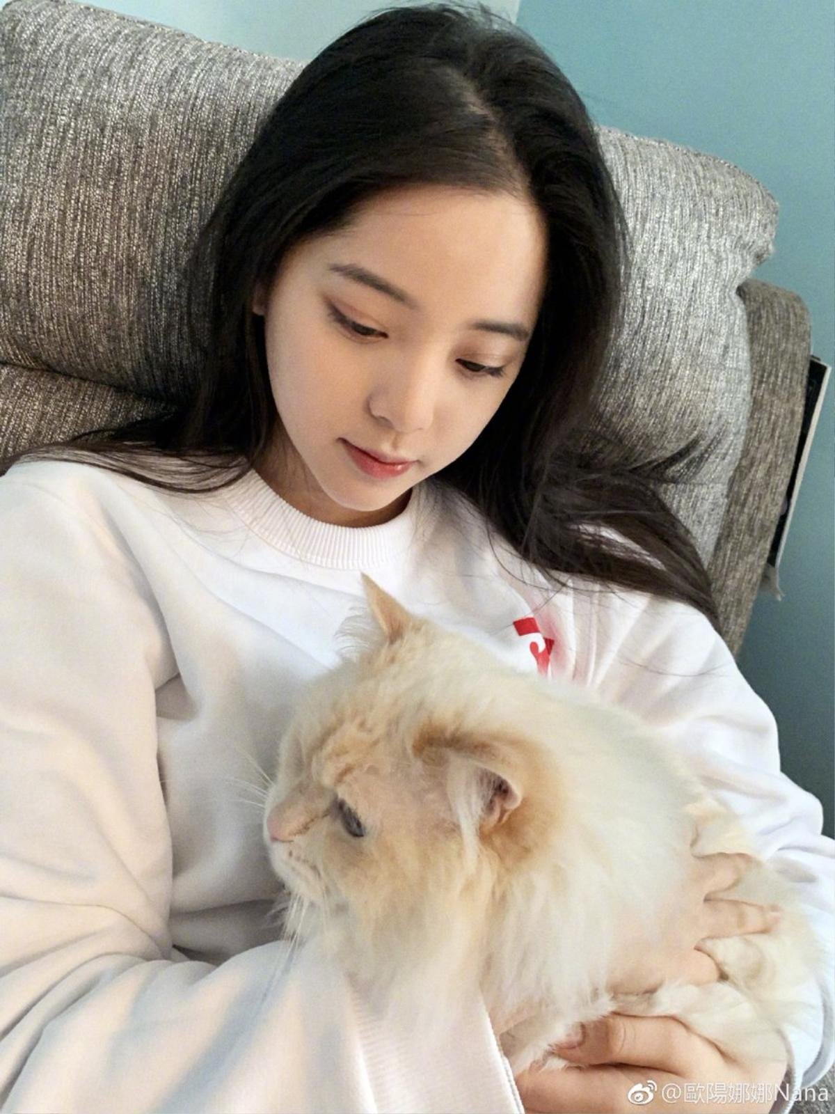 Mồng Một Tết Kỷ Hợi: Angelababy đạt 100 triệu fan Weibo, sao Hoa ngữ khoe ảnh đầu năm Ảnh 7