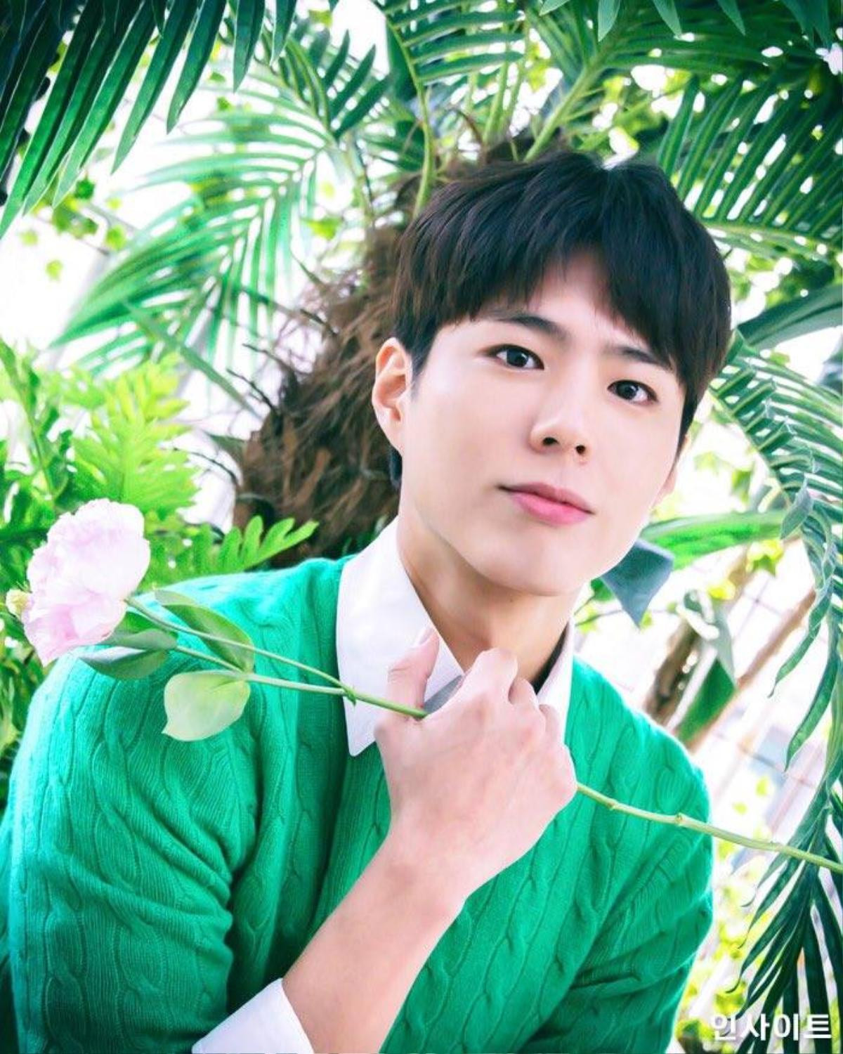 Park Bo Gum tiết lộ kiểu mẫu hẹn hò - Hoya (INFINITE) viết thư tay tạm biệt fans trước khi nhập ngũ Ảnh 1