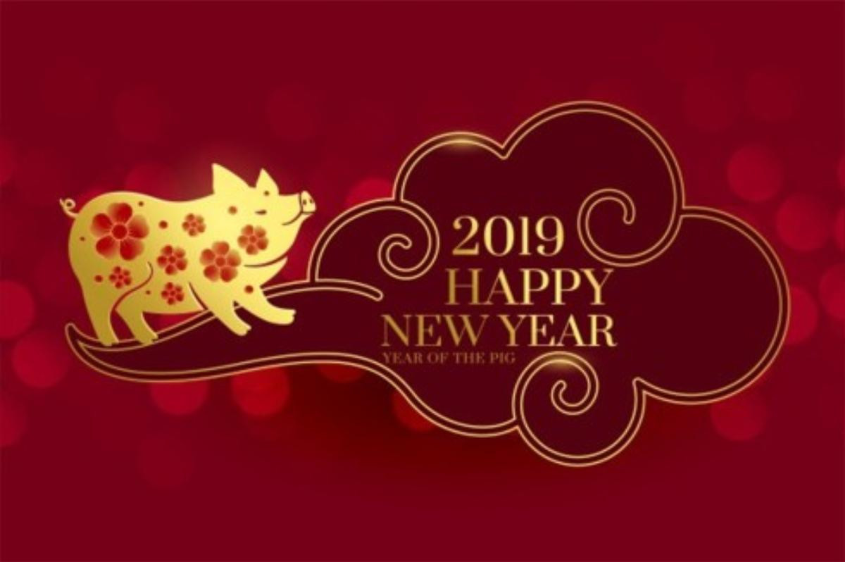 Năm Kỷ Hợi 2019 theo quan niệm của người châu Á Ảnh 1