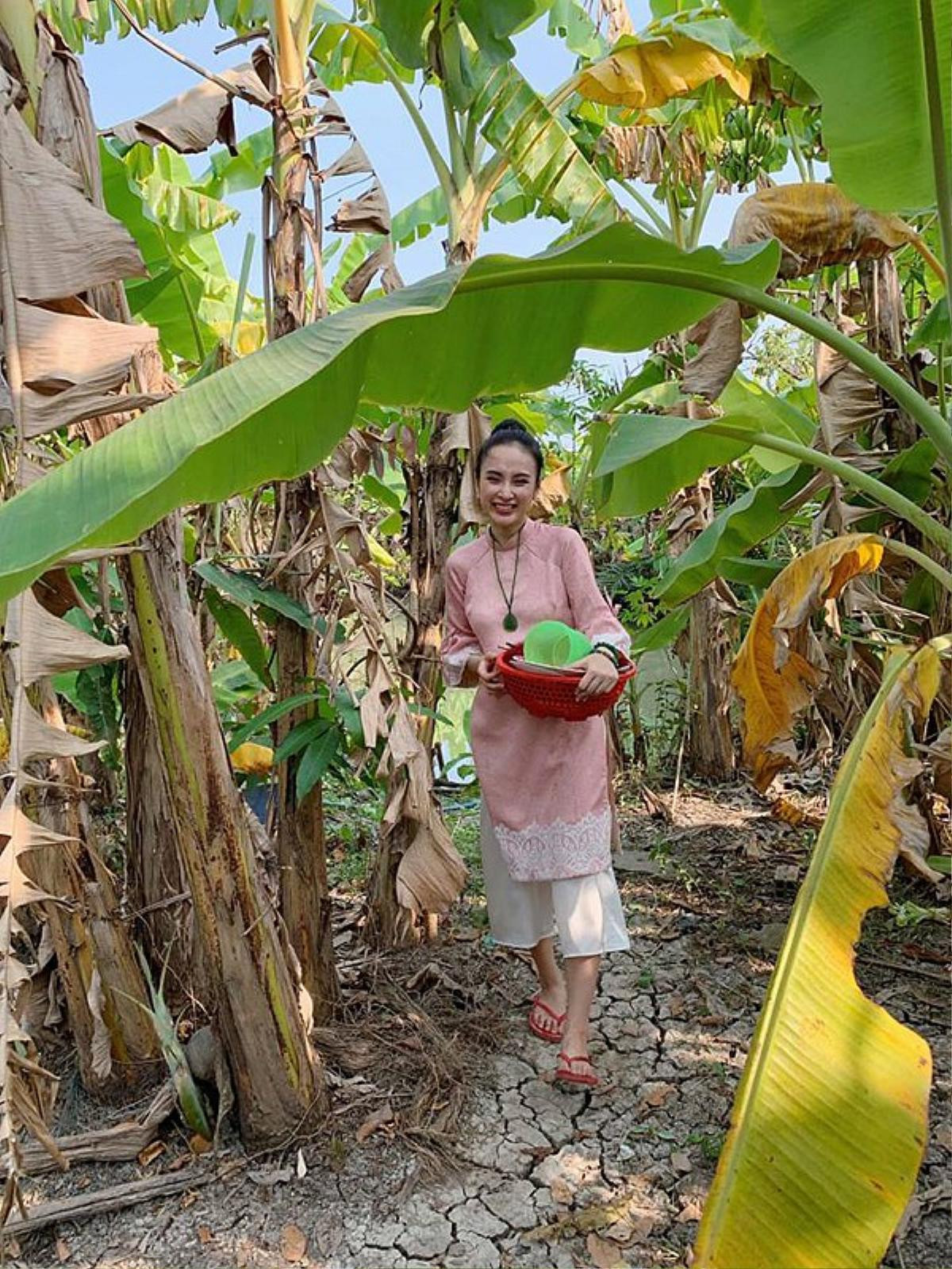 Rũ bỏ hình ảnh kiêu sa quý phái, Angela Phương Trinh cũng có lúc 'tảo tần' thế này ở quê nhà! Ảnh 8