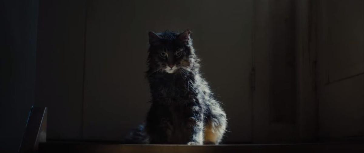 ‘Pet Sematary’ tung trailer mới hé lộ cốt truyện rùng rợn khác với tiểu thuyết gốc của Stephen King Ảnh 14