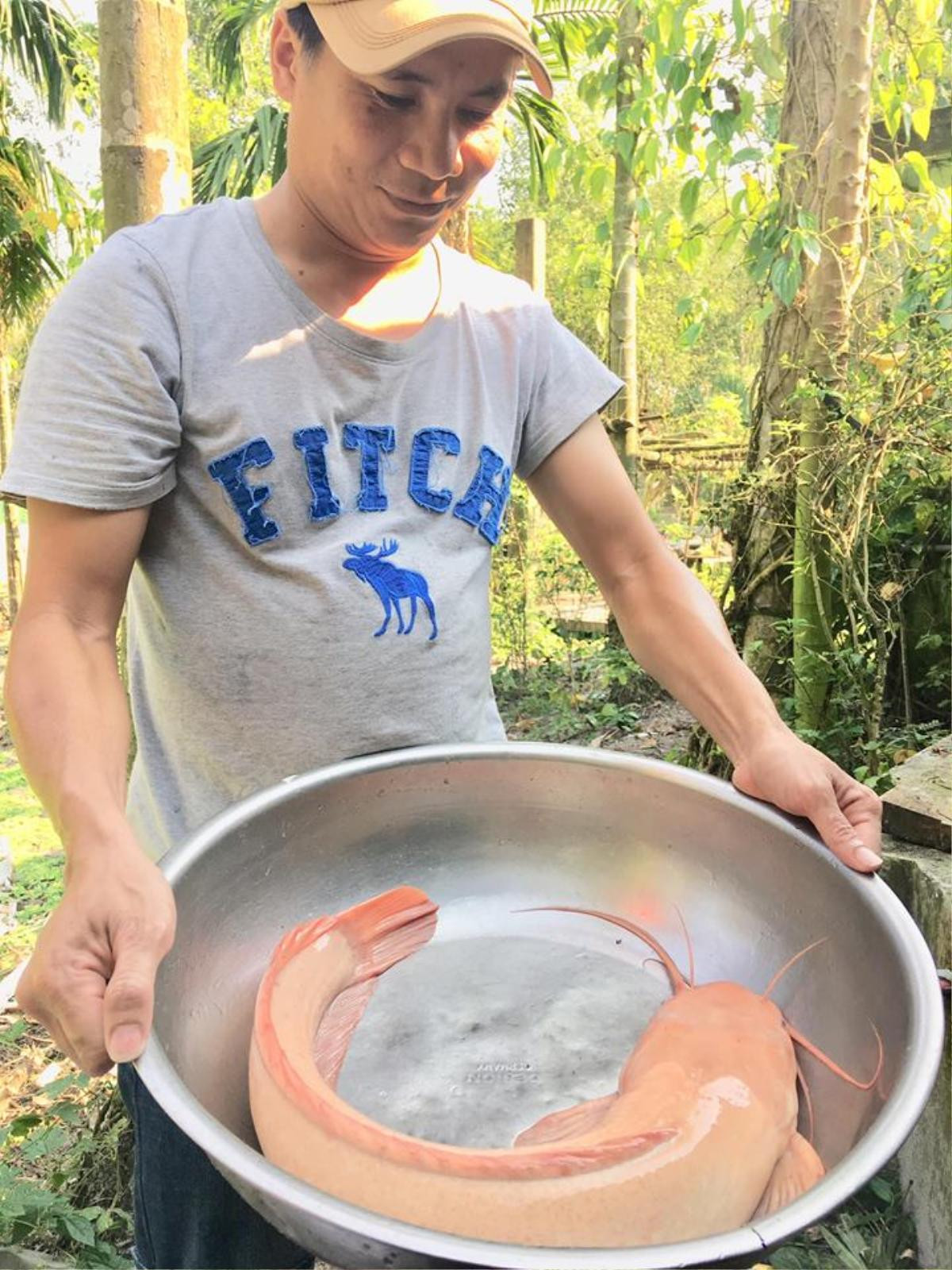 Ngày Tết ra đồng bủa lưới, bắt được cá trê vàng dài hơn nửa mét Ảnh 2