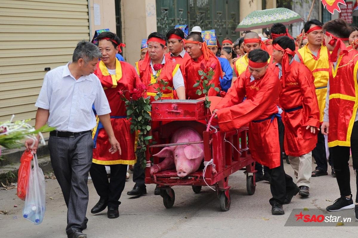 Hàng trăm người dân kéo đến đình làng ở Bắc Ninh xem chém lợn Ảnh 2