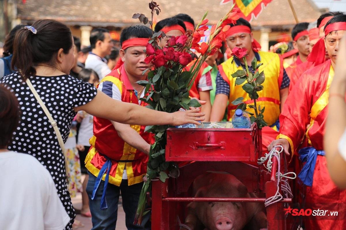 Hàng trăm người dân kéo đến đình làng ở Bắc Ninh xem chém lợn Ảnh 10