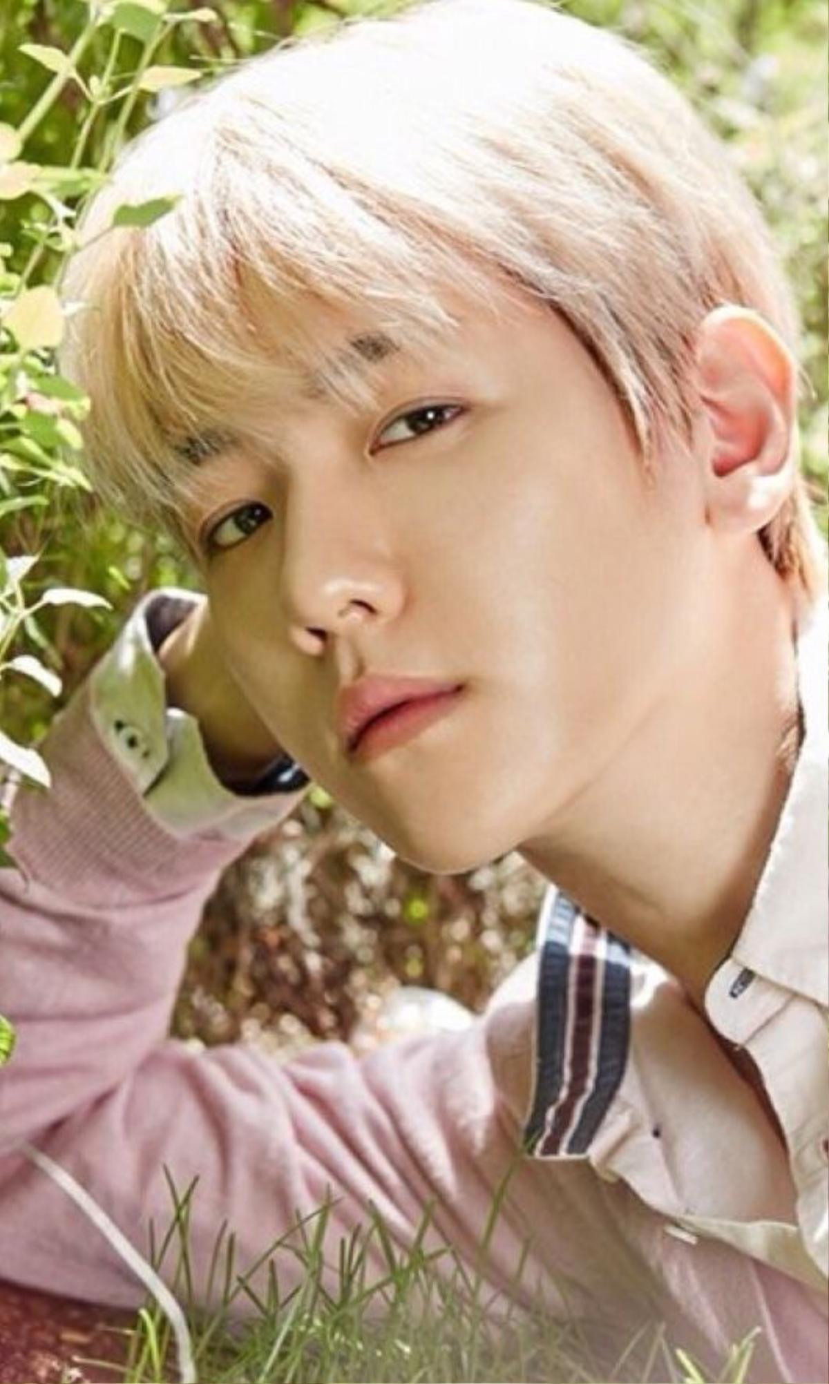 Baekhyun nhầm lẫn tên của các thành viên EXO - Trương Nghệ Hưng nói gì khi tham dự giải Grammy? Ảnh 7