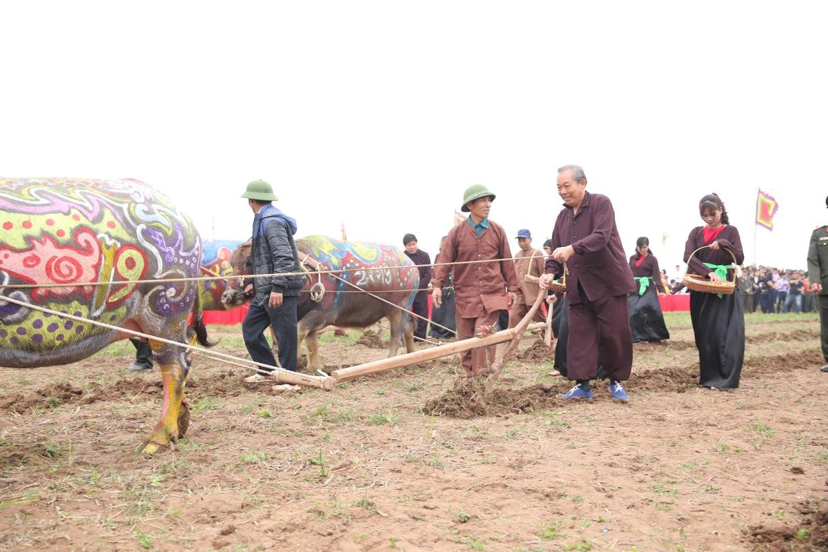 Phó Thủ tướng thường trực Trương Hòa Bình xuống đồng đi cày tại lễ hội Tịch điền Ảnh 21