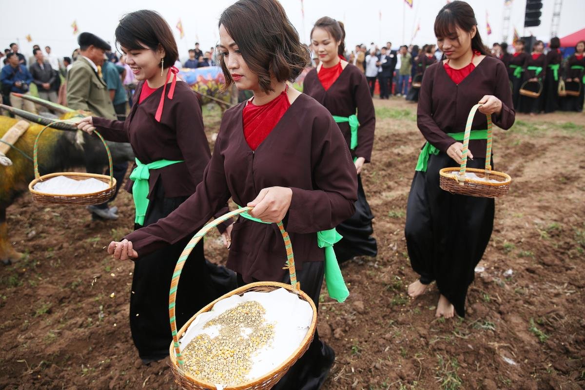 Phó Thủ tướng thường trực Trương Hòa Bình xuống đồng đi cày tại lễ hội Tịch điền Ảnh 22