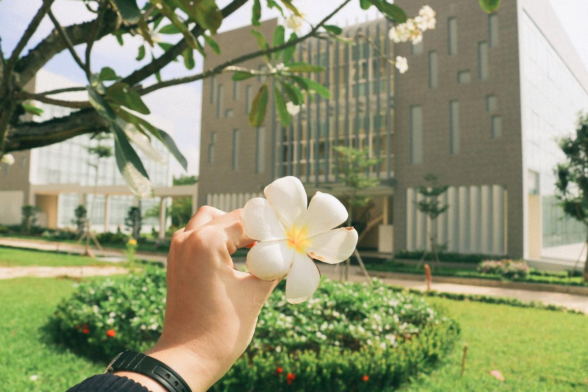 Ngất ngây với vẻ đẹp lung linh tựa trời Tây của cụm tòa nhà mới tại Trường ĐH Khoa học Xã hội & Nhân văn TP.HCM Ảnh 2