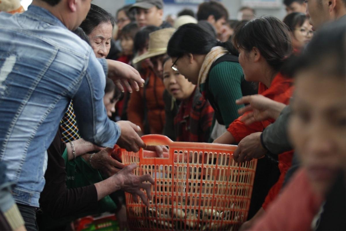 Chùm ảnh: Vạn người đổ về Bát Tràng dự lễ phóng sinh 10 tấn cá xuống sông Hồng Ảnh 35