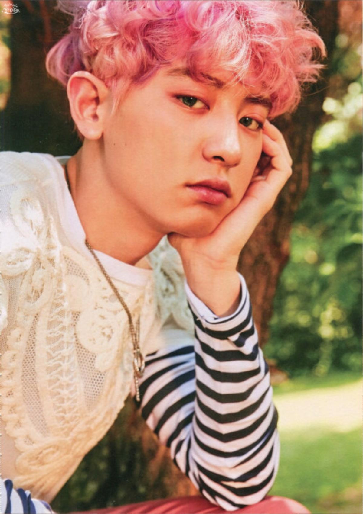 Chanyeol (EXO) gặp vấn đề với giường ngủ bởi vì lí do này! - Ngoại hình của Lay Trương Nghệ Hưng được xếp hạng gì? Ảnh 7