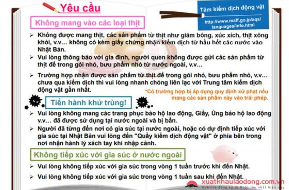 Những quy định cực khắt khe liên quan trực tiếp đến du học sinh ở Nhật Bản có thể bạn chưa biết Ảnh 2