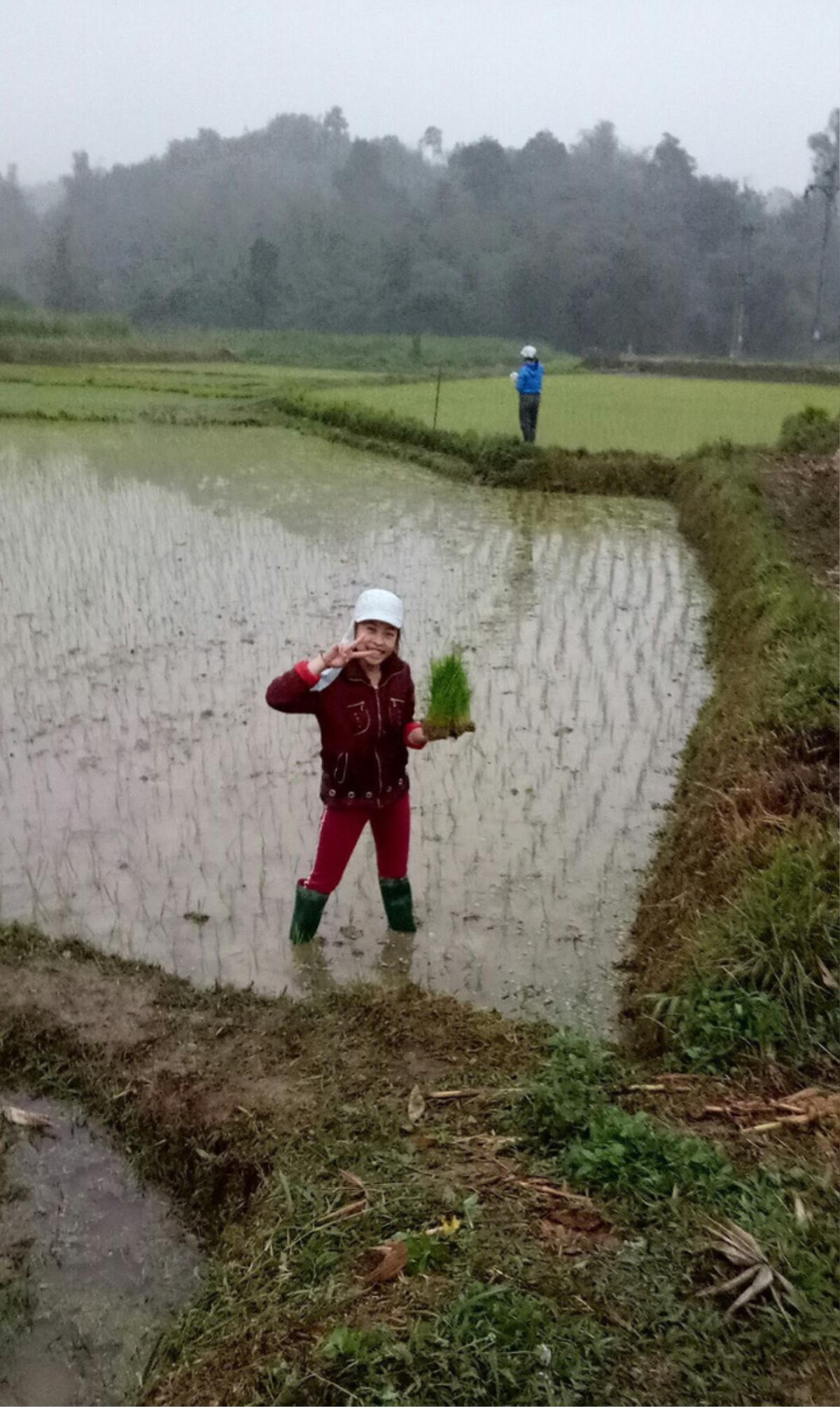 Khoe ảnh dành cả Tết để đi cấy giúp mẹ, nữ sinh bất ngờ bị 'ném đá' vì một chi tiết Ảnh 2