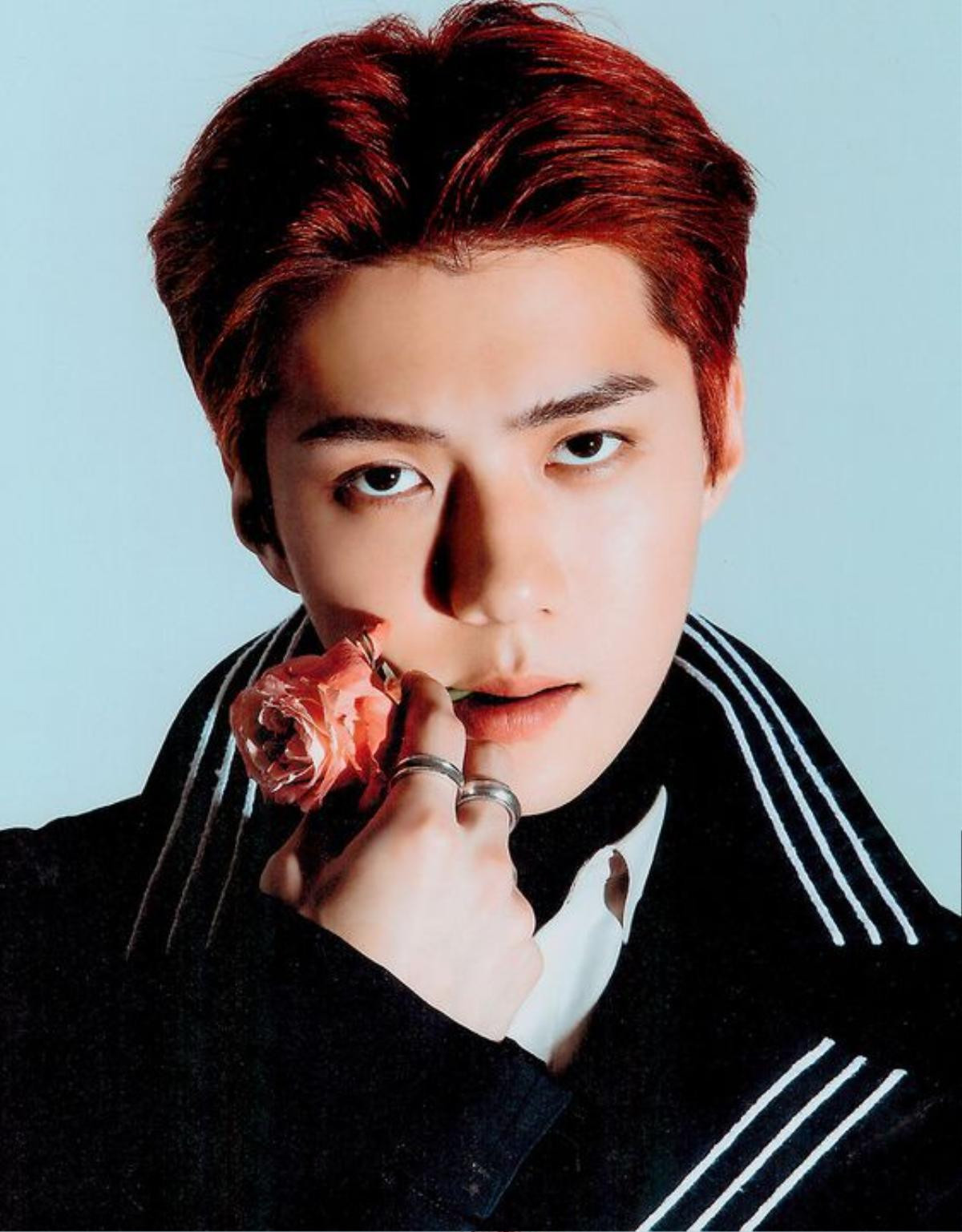 Không chỉ có một con đường mang tên là Oh Sehun (EXO) mà đây còn là dự án vô cùng ý nghĩa Ảnh 1