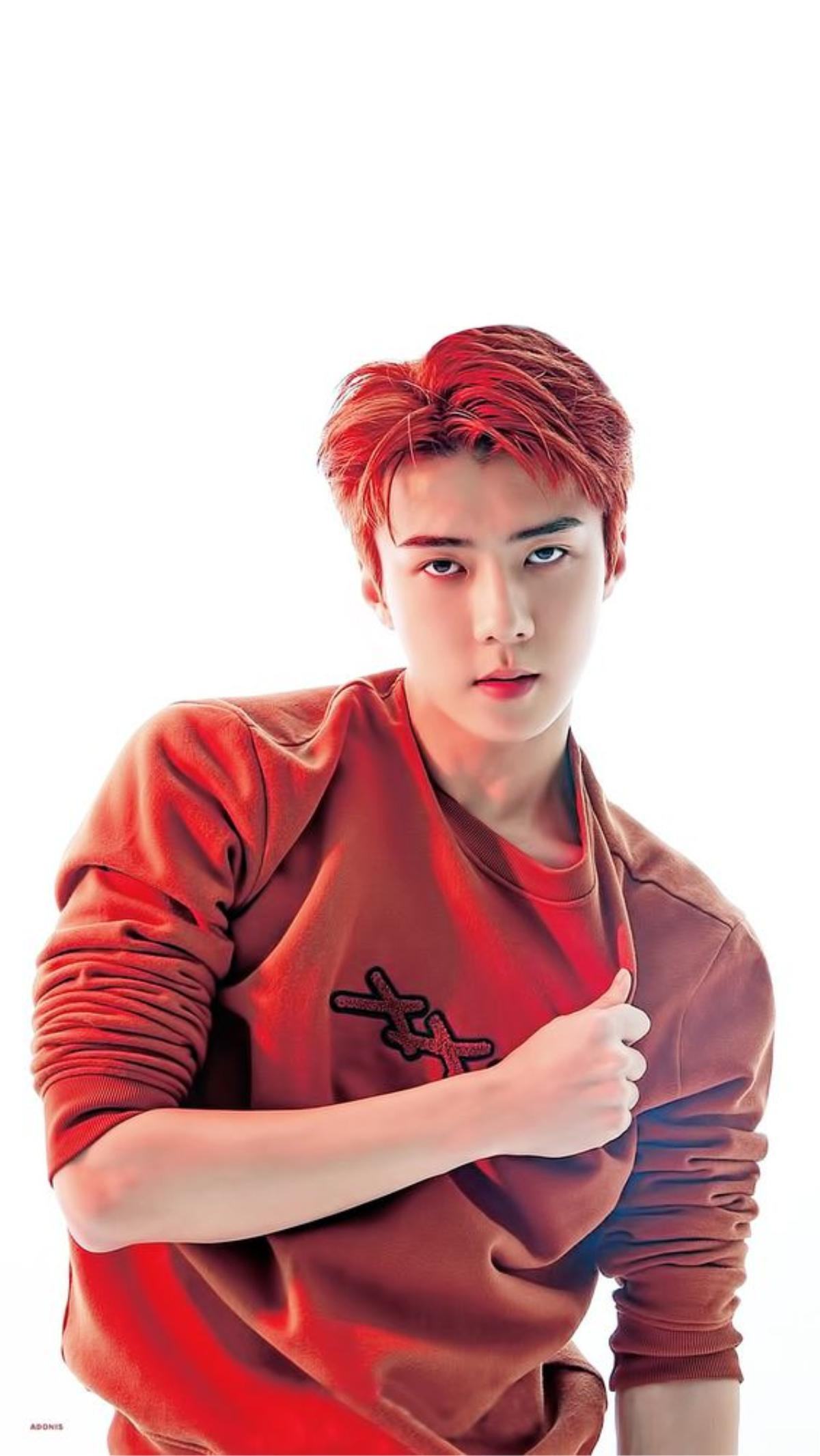 Không chỉ có một con đường mang tên là Oh Sehun (EXO) mà đây còn là dự án vô cùng ý nghĩa Ảnh 8