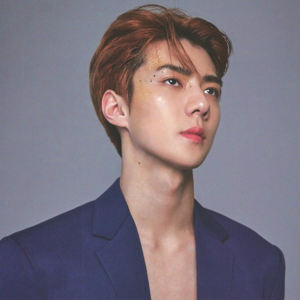 Không chỉ có một con đường mang tên là Oh Sehun (EXO) mà đây còn là dự án vô cùng ý nghĩa Ảnh 7